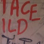 Kalksteinwand vorher